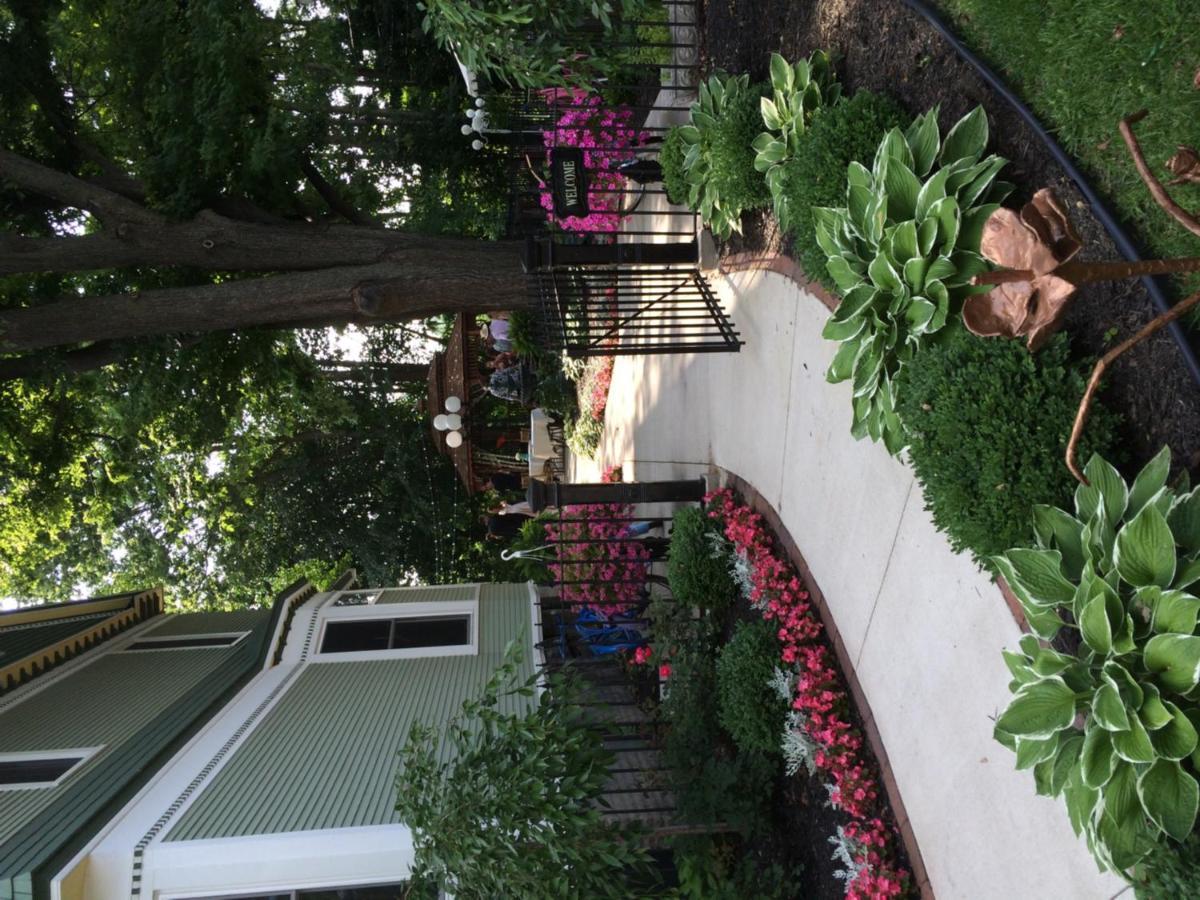 The Ginkgo Tree Bed & Breakfast Mount Pleasant Exterior photo