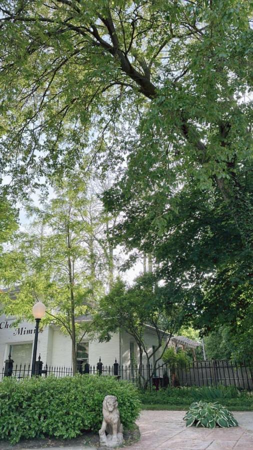 The Ginkgo Tree Bed & Breakfast Mount Pleasant Exterior photo