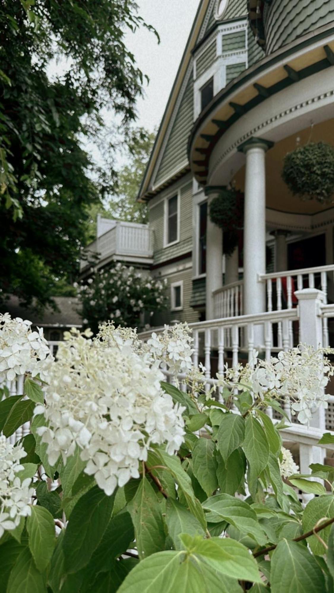 The Ginkgo Tree Bed & Breakfast Mount Pleasant Exterior photo